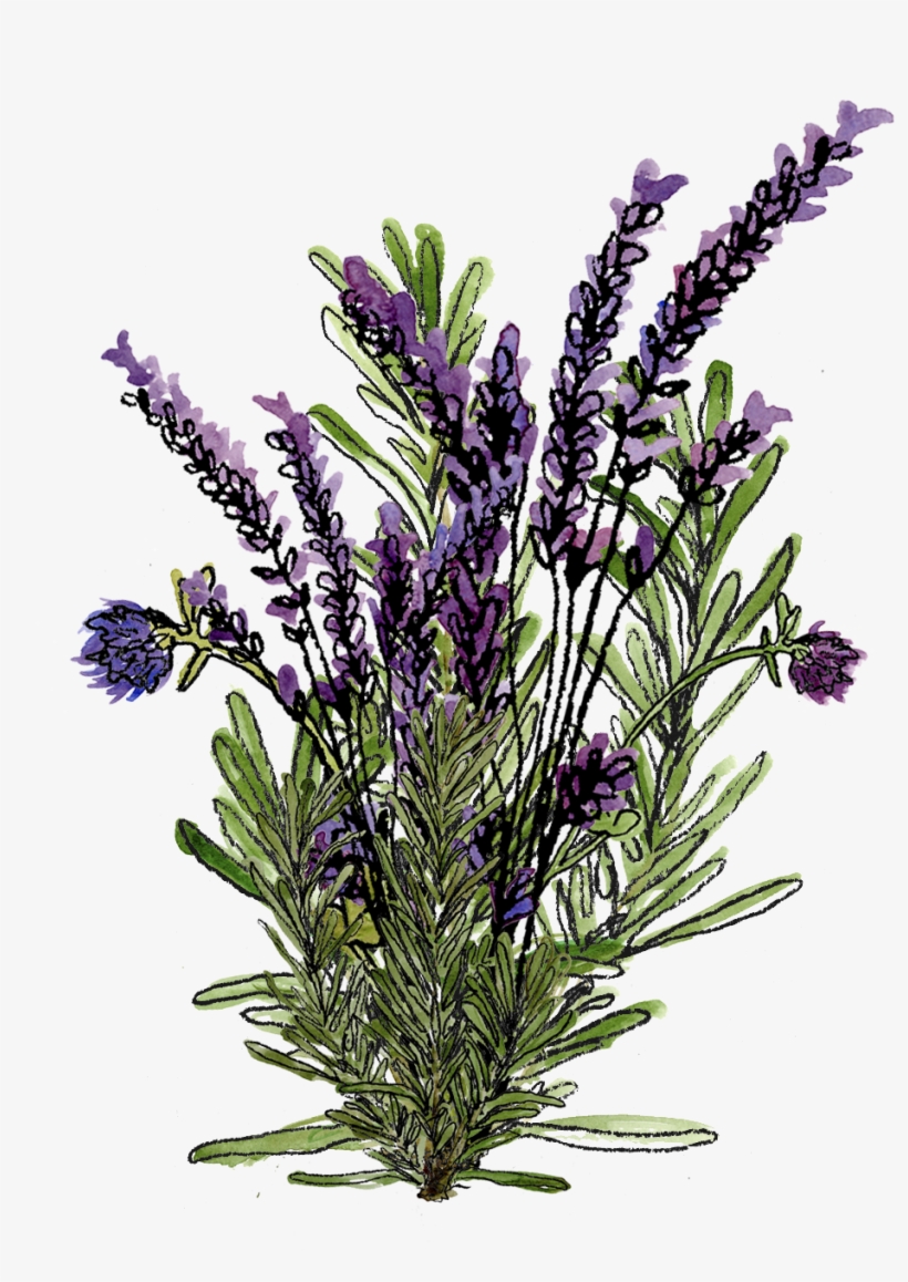 Watercolor - Flower Bouquet, transparent png