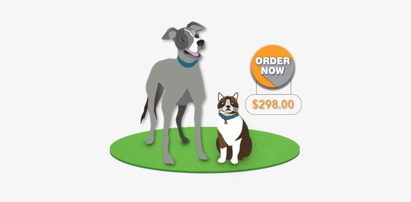 Order Now Cat Dog - Dog Catches Something, transparent png