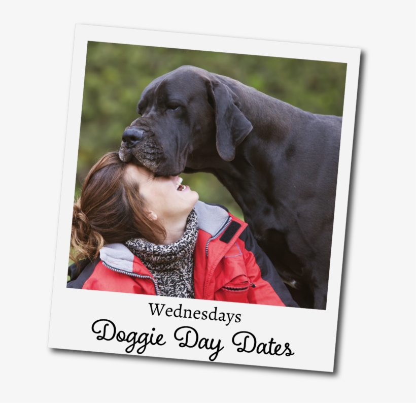 Giant Low Energy Dogs, transparent png