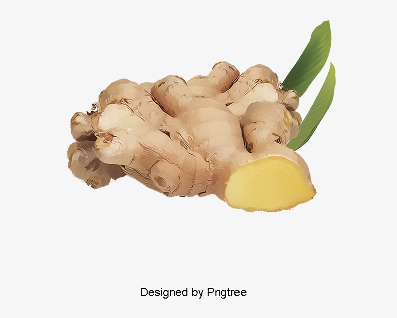 Ginger - Portable Network Graphics, transparent png
