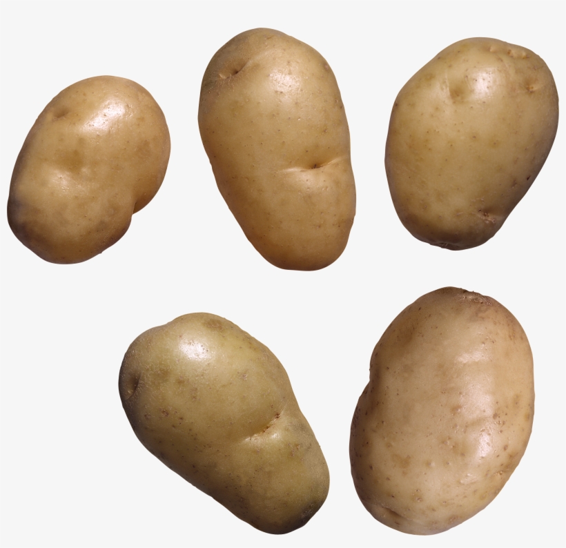 Potato Png Images, Pictures, Free Download - Potato Transparent Background Png, transparent png