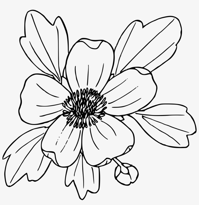 This Free Icons Png Design Of Sagebrush Buttercup, transparent png