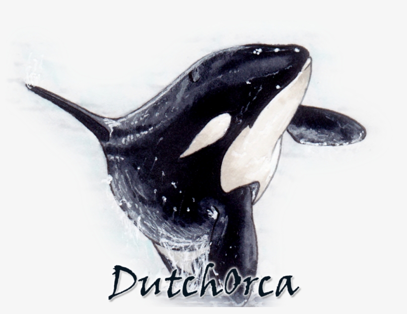 Thursday Evening Orca Sketches In My Toned Tan - Design Ideas, transparent png