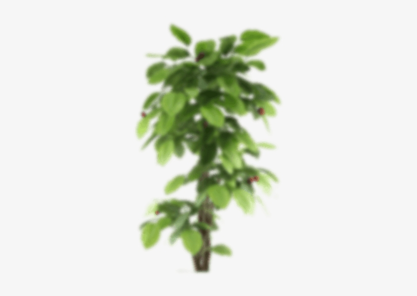 Web Design, transparent png