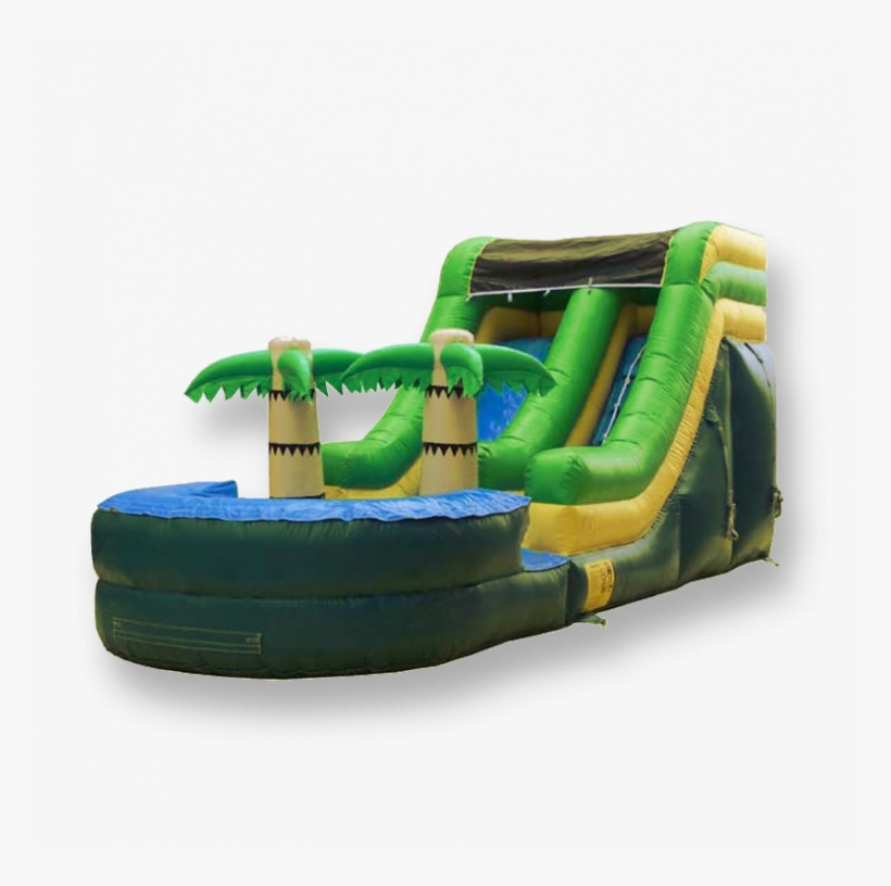 Palm Tree Water Slide - Palm Trees, transparent png