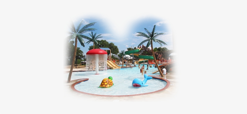 The Park Was Built As A Wpa Project In 1925, And Serves - Rockwell Park And Splash Pad, transparent png