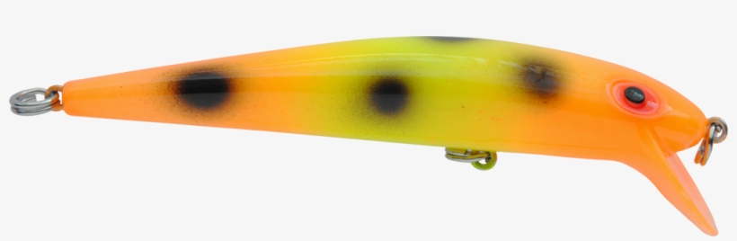 Moldy Candy, transparent png