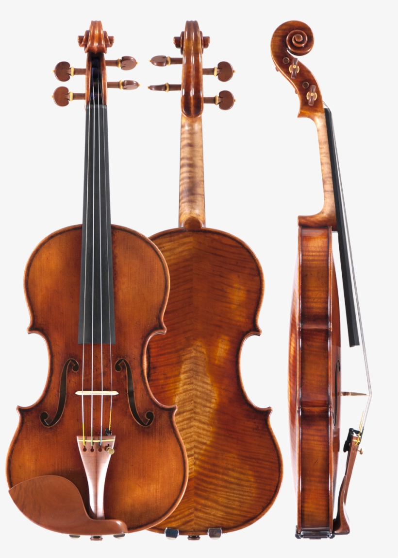 Ming Jiang Zhu Aa Viola - Amati Violin, transparent png