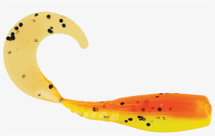 2″ Curly Tail Crappie Minnr In Candy Corn - Illustration, transparent png