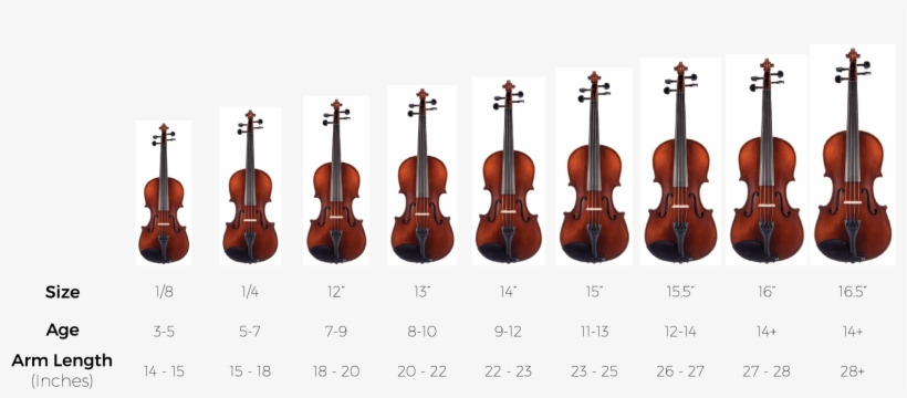 Specs - Eastman Vl405 4/4 Violin, transparent png