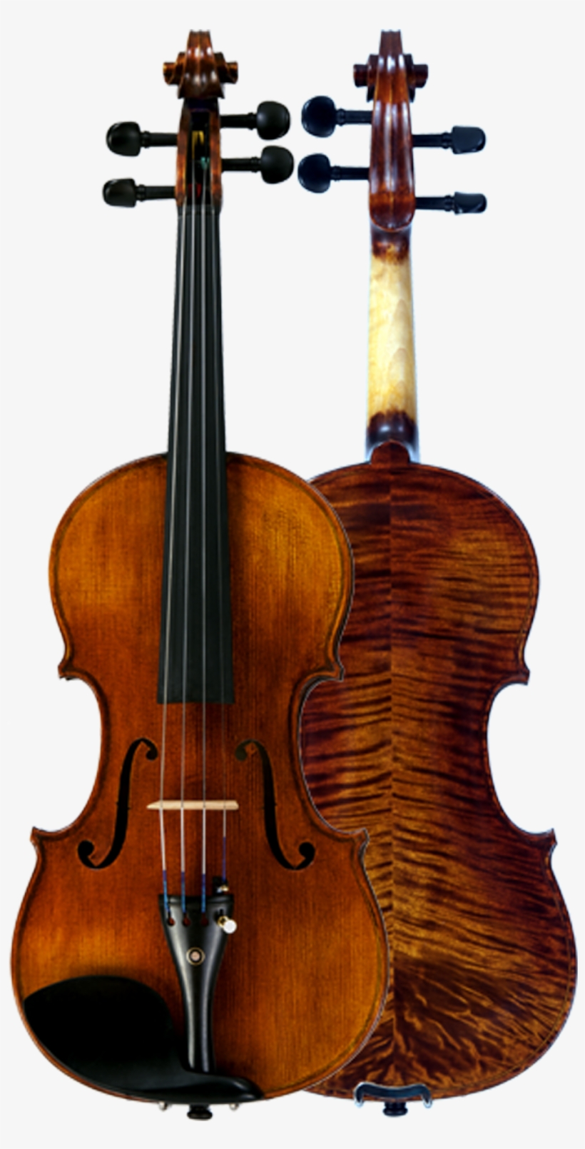 Step-up Violas - Amati Viola, transparent png