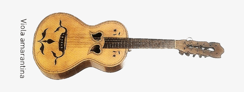 The Amarante Viola Has 5 Double Strings Orders - Viola, transparent png
