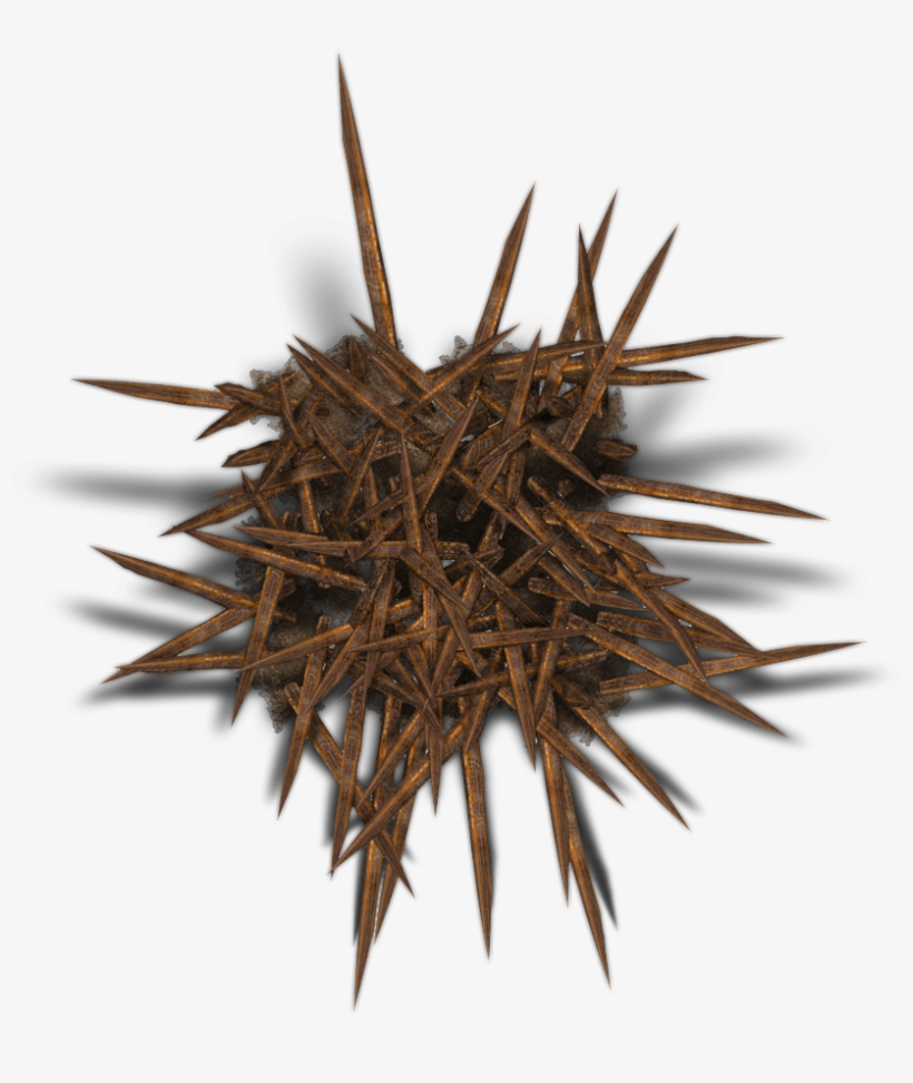 06 Feb 2009 - Wood, transparent png