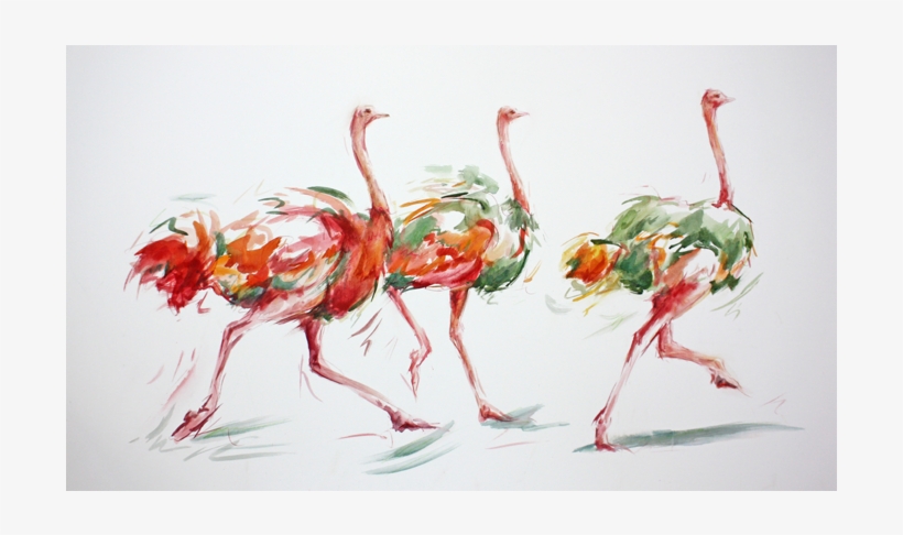 Dancing Trio A2 - Greater Flamingo, transparent png
