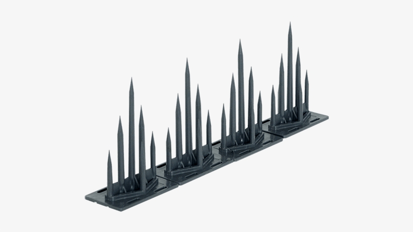 Pigeono Products, Pigeon Control Products, Pigeon Spikes, - Pigeon Control Spikes, transparent png
