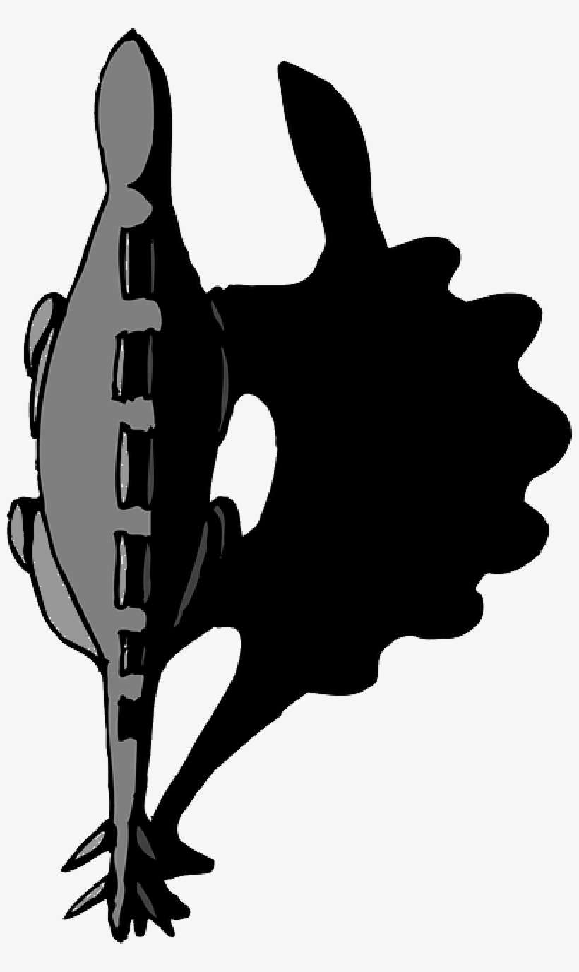 Mb Image/png - Shadow, transparent png