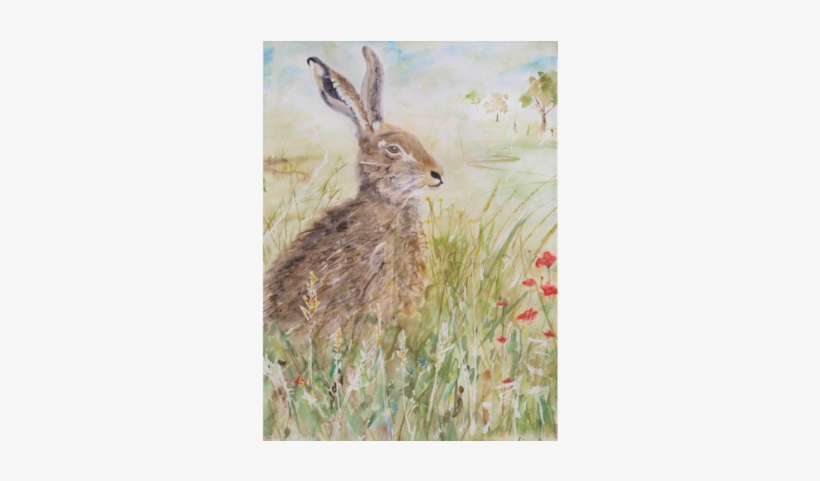 Hare's Breath - Hare, transparent png