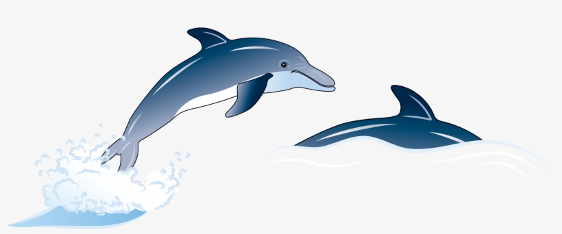 Porpoise Drawing Blue Dolphin - Dolphin Illustration Png, transparent png
