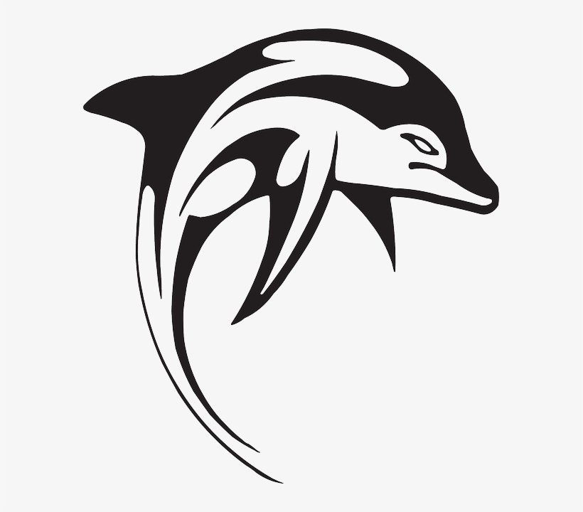 Angry, Dolphin, Swim, Animal, Aquatic, Swimming - Dolphin Black And White Vector, transparent png