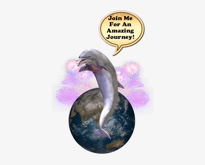 Where's The Dolphin Sticker Pack For Imessage Messages - Where's The Dolphin? Story And Fun Games, transparent png