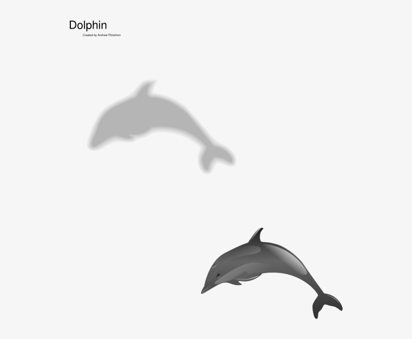 Dolphin Grey, transparent png