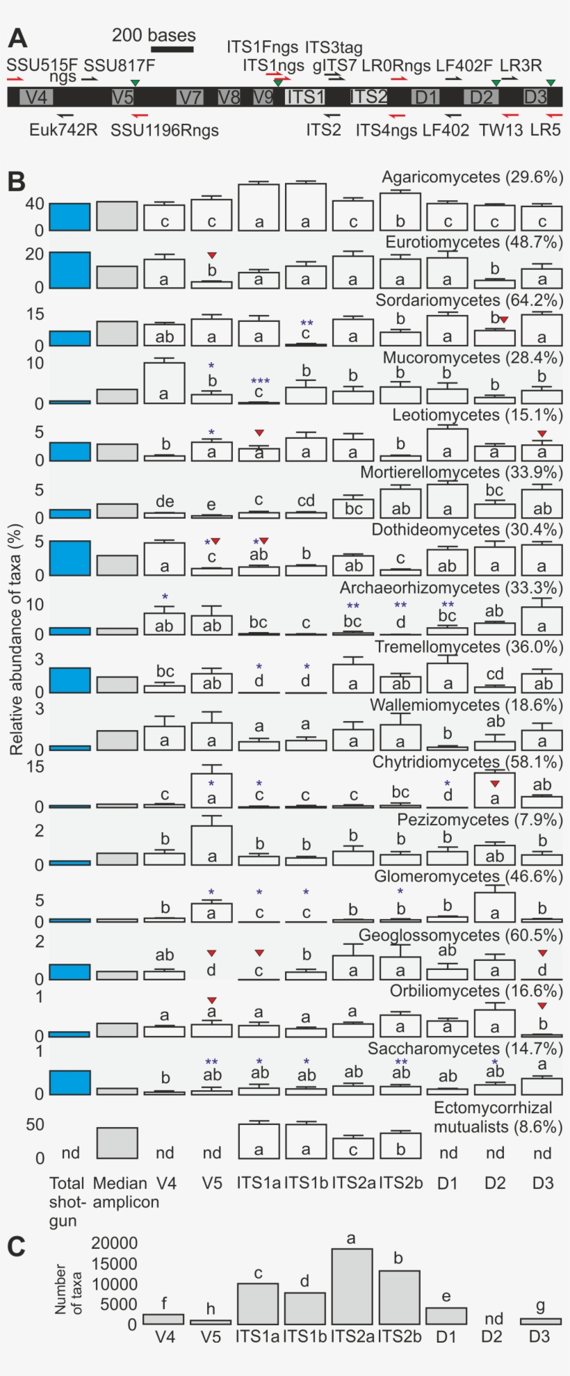 Musical Composition, transparent png