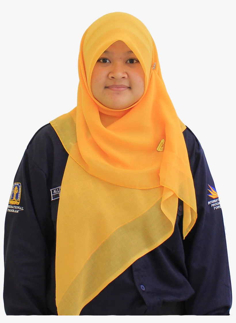 Allita Prisantama-accounting - Accounting, transparent png