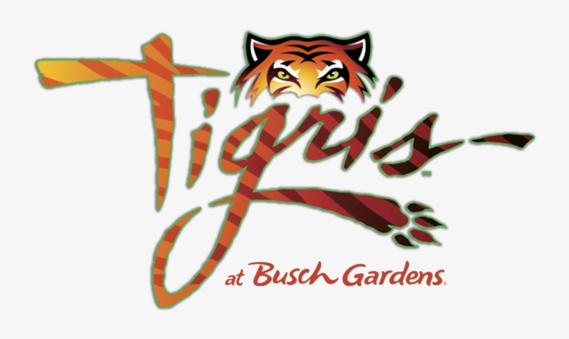 Busch Gardens' Roaring New Roller Coaster, Tigris, - Tigris Roller Coaster At Busch Gardens, transparent png