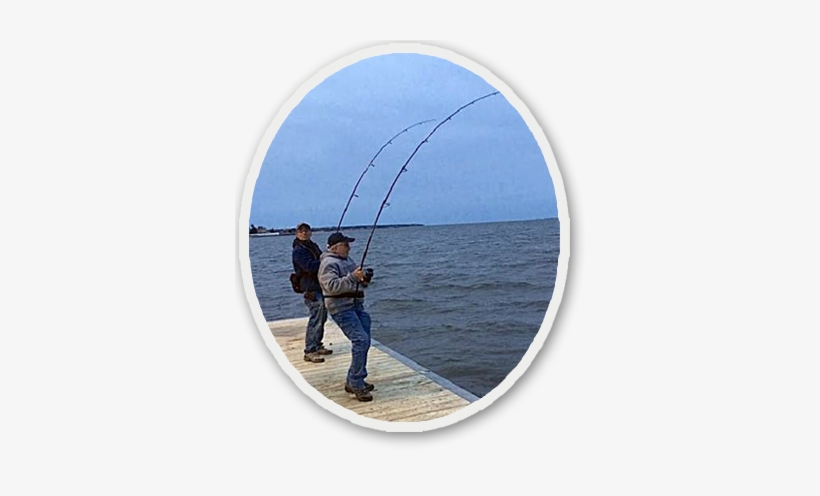 Love That May Fishing - Cast A Fishing Line, transparent png