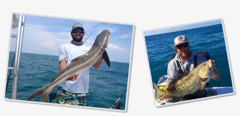 Previousnext - Florida, transparent png