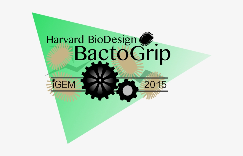 Harvard Logo - Web Design, transparent png