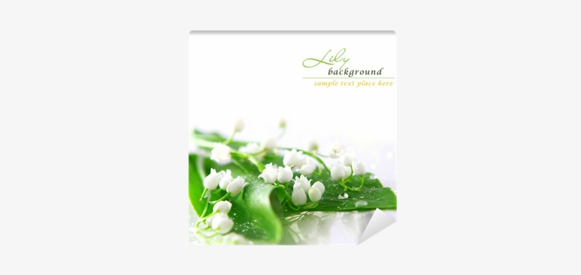 Lily Of The Valley Wallpaper Iphone, transparent png