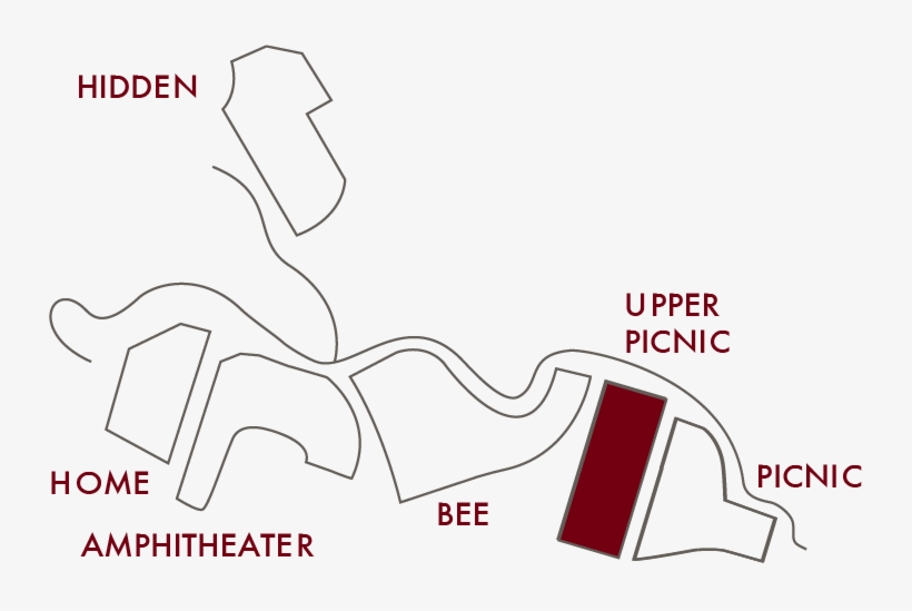 Upper Picnic, transparent png