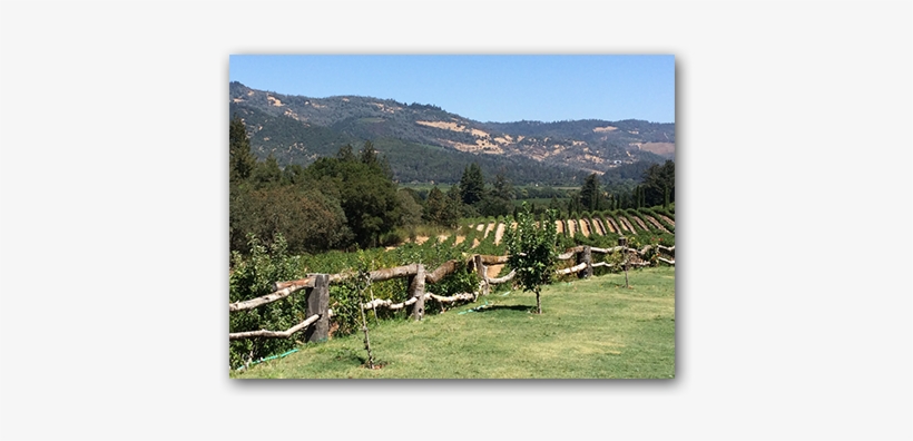 The French Bistro Mysteries' World - Castello Di Amorosa, transparent png