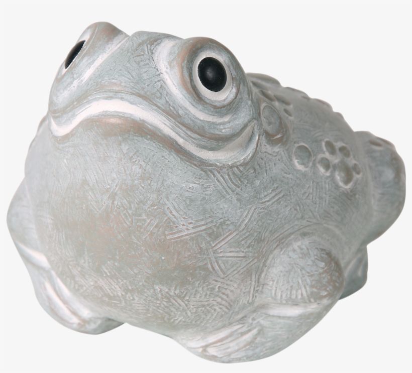 Toad - Isabel Bloom, transparent png
