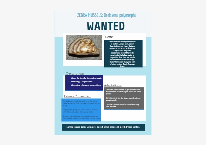 Baked Alaska, transparent png
