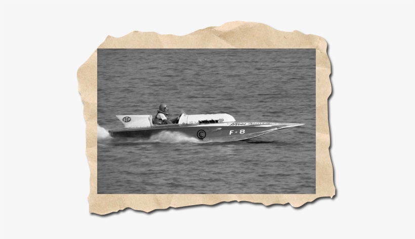 November Wanted Poster, Miss Kathleen F-8 - Tiger, transparent png