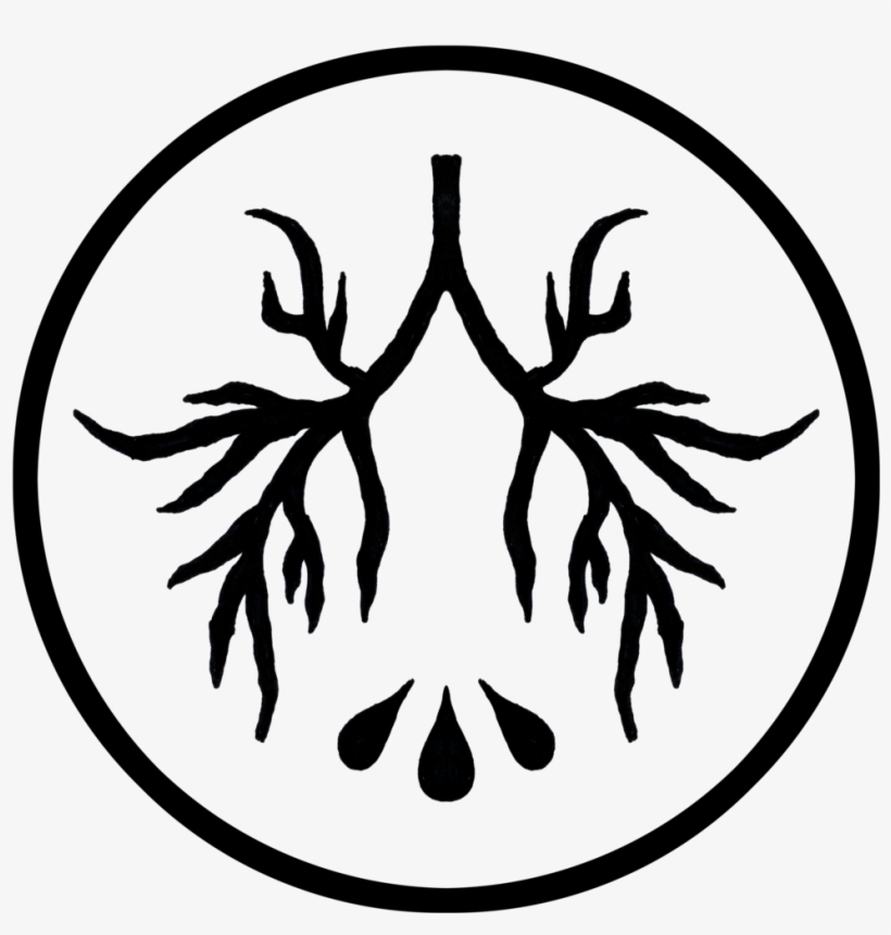 Levi Png, transparent png