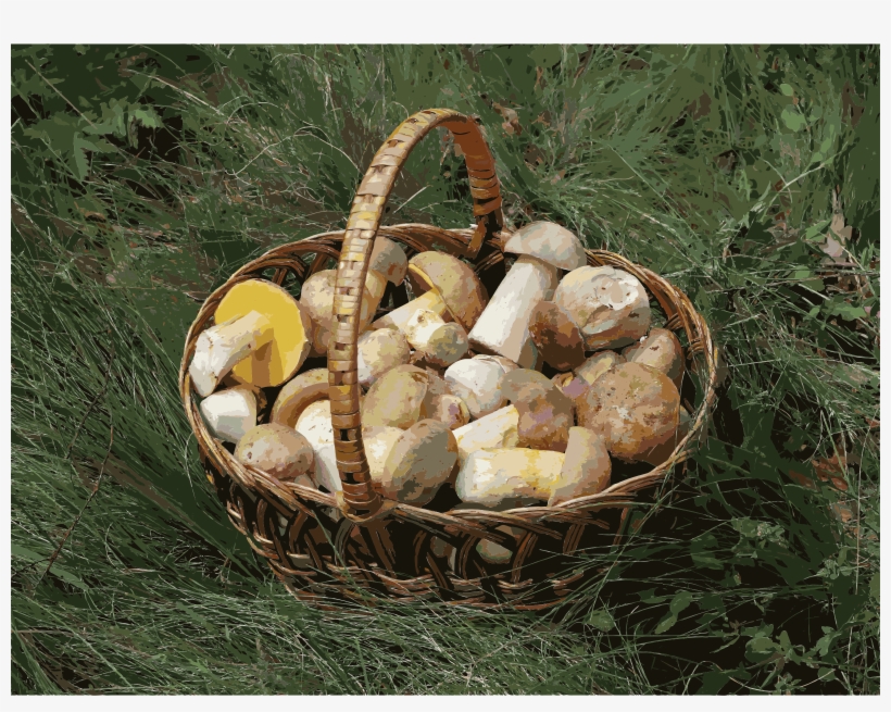 This Free Icons Png Design Of Edible Fungi In Basket, transparent png