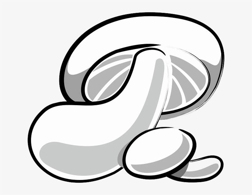 Mushroom, Fungi, Fungus, White - Png Jamur, transparent png