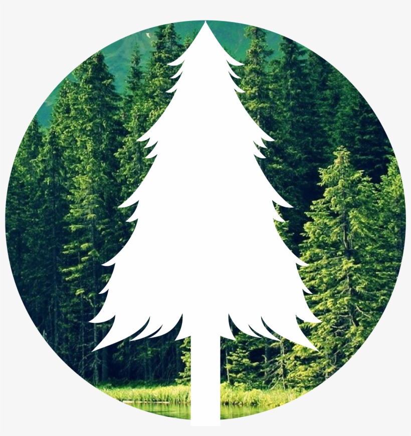 The Forest Png - Save Forest Png, transparent png