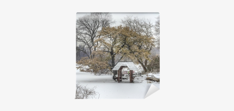 Central Park, New York City During Snow Storm Wall - Neve Em Central Park Em Nova York, transparent png