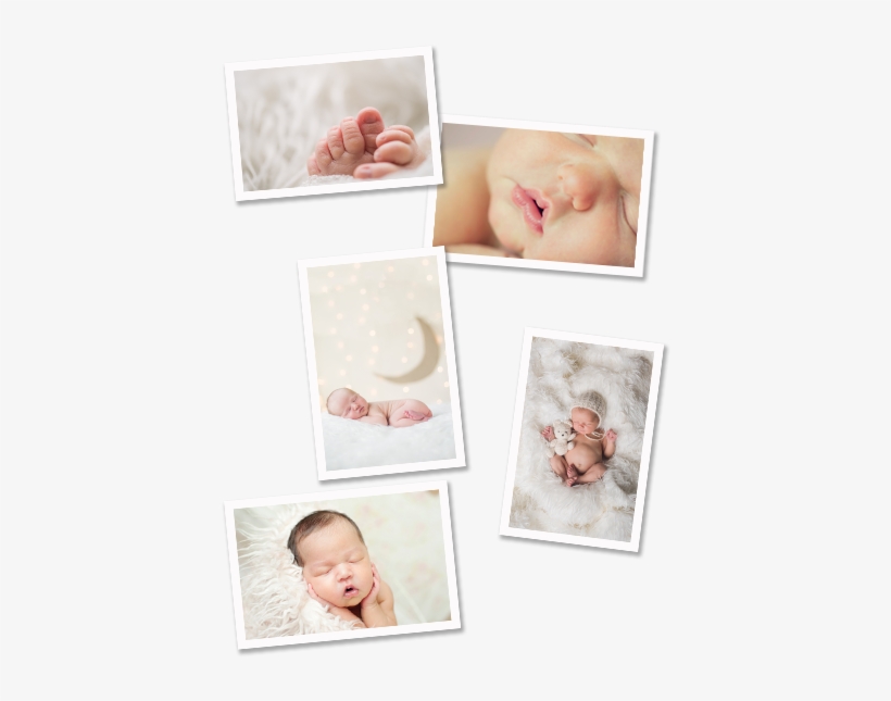Newborn - Photograph, transparent png