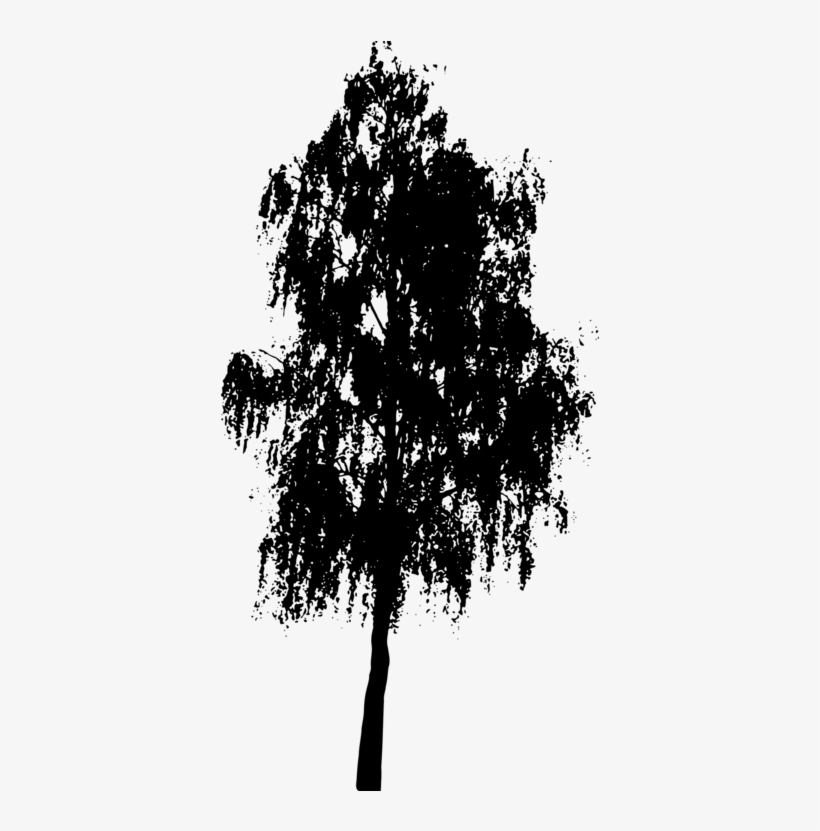 Palm Trees Trunk Shrub Birch - Tree Silhouette No Background, transparent png