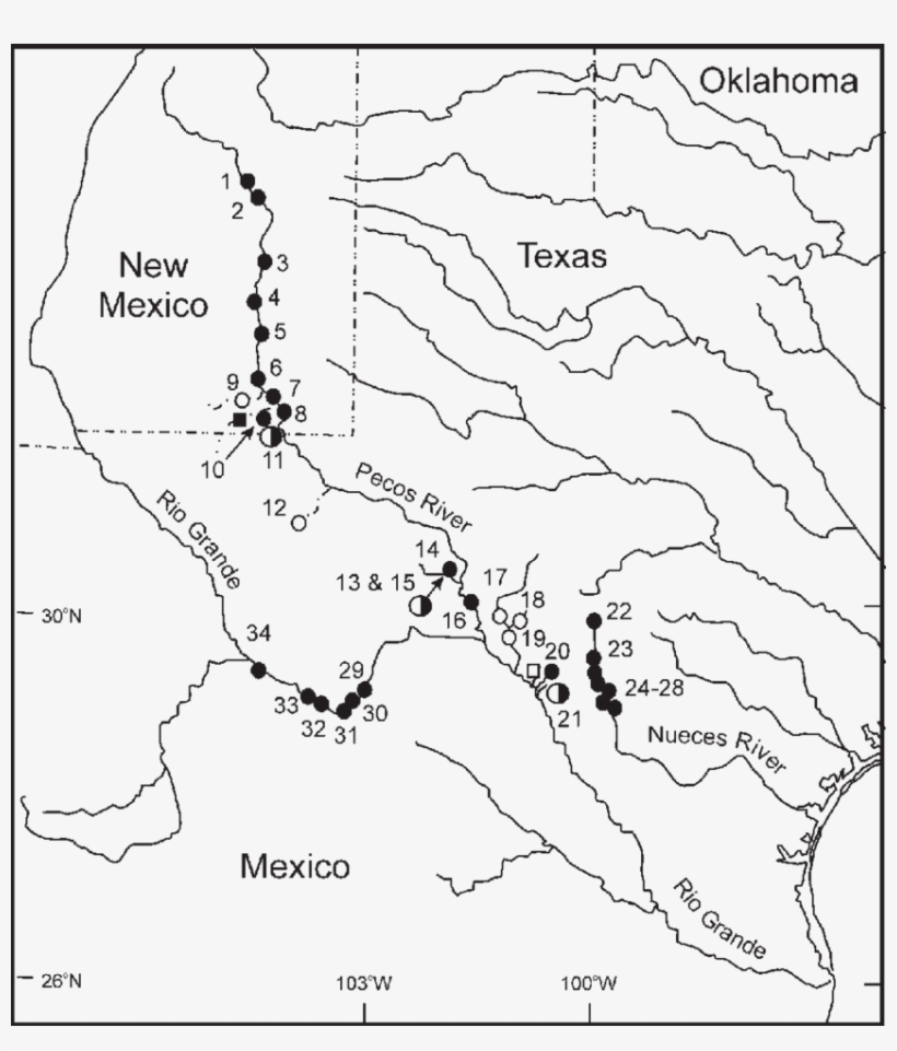 Texas Map Drawing At Getdrawings - Texas, transparent png