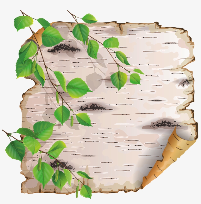 Ch - B *✿* - Береста Клипарт, transparent png