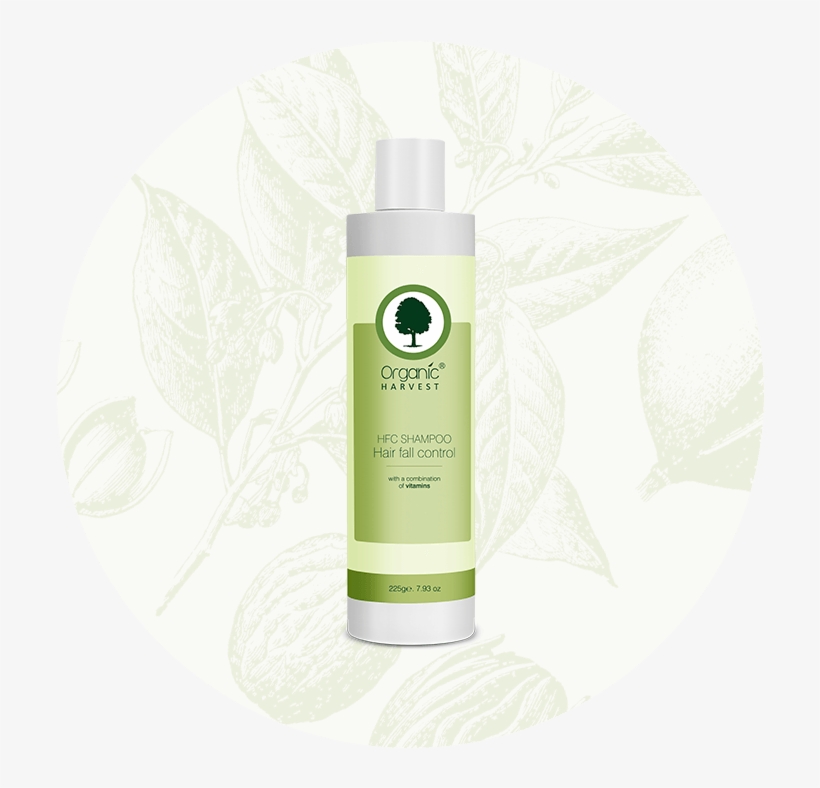 Hair Fall Control Shampoo - Shampoo, transparent png