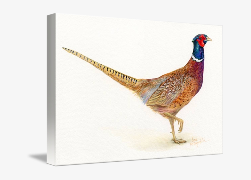 Image Library Library By Lisa Mclaughlin Liverpool - Pappy's Father' Day Pheasant Greeting Card, transparent png
