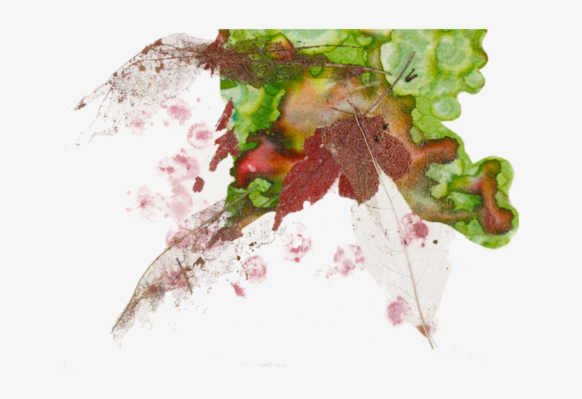 The Selections Within This Gallery Resulted From A - Artist, transparent png