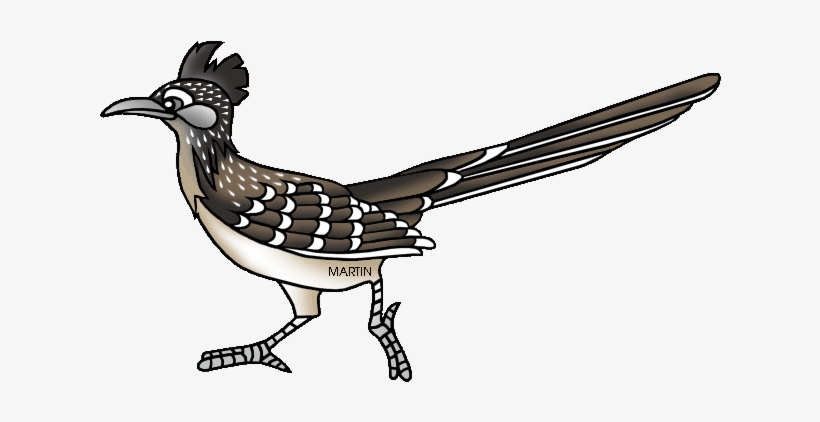United States Clip Art By Phillip Martin - State Bird For New Mexico, transparent png